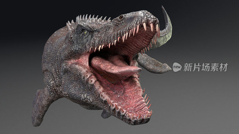 Mosasaurus  pose render of background. 3d rendering
